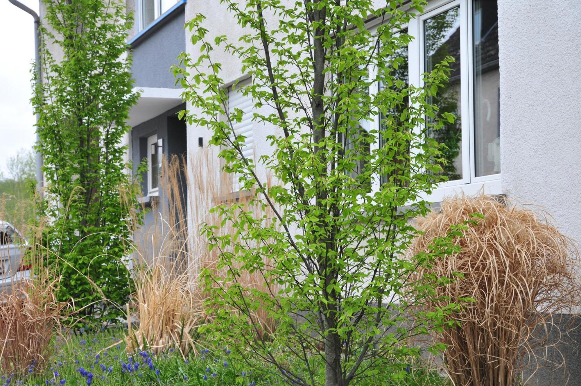 Ferienwohnung Noviomagus Neumagen-Dhron Extérieur photo